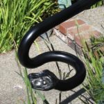 metal fabrication landscaping sculpture
