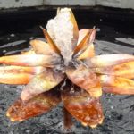 lotus fountain metal fabrication