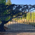 Bonsai Gate in Eugeme